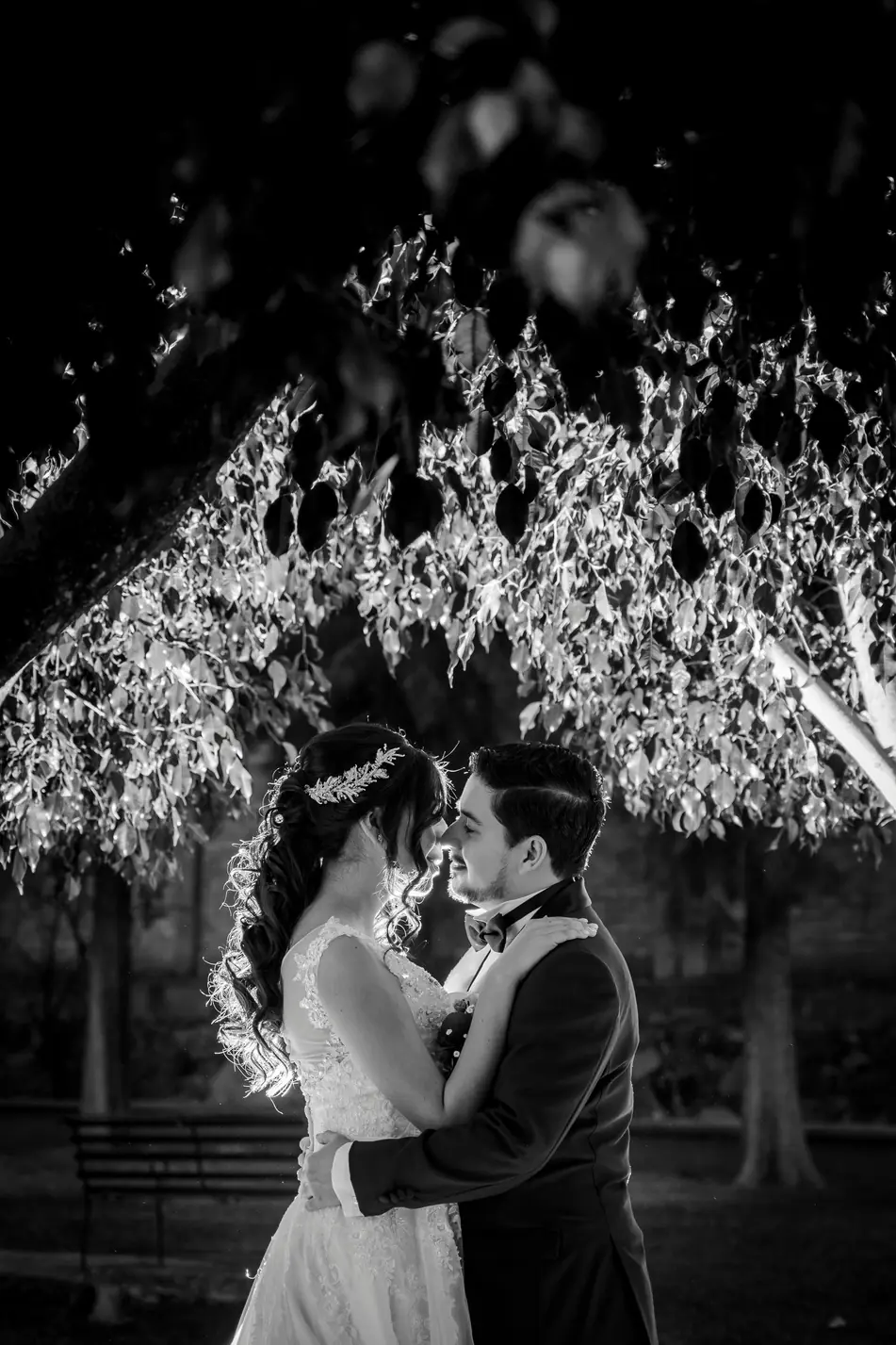 Una pareja abrazada bajo un árbol con guirnaldas de luces en la fiesta nocturna